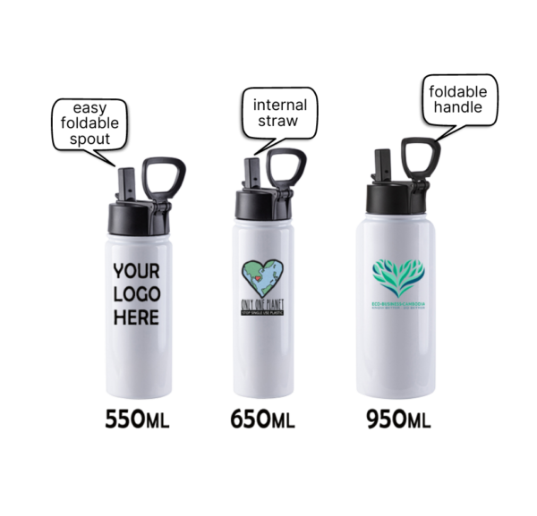 Stainless Steel, Insulated Water Bottle - 3 sizes