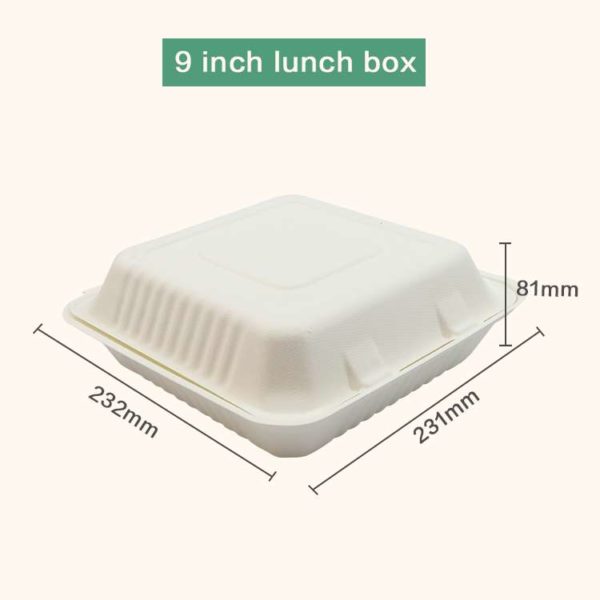 B0253 - 1300ml 3 Compartment Clamshell - Image 2