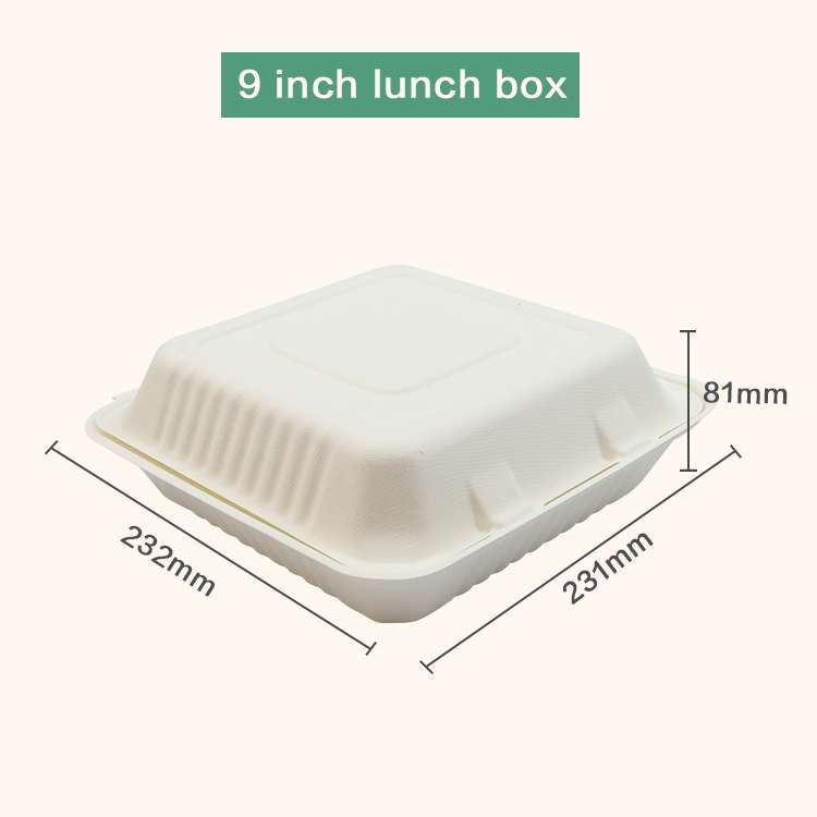 B0253 - 1300ml 3 Compartment Clamshell - Image 2