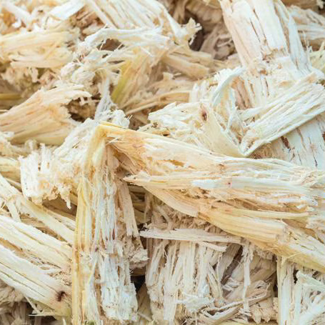Fiber-Sugar Cane