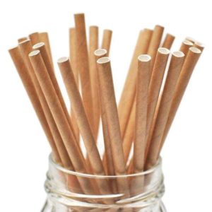 4 Ply Short Paper Straws (500pcs)