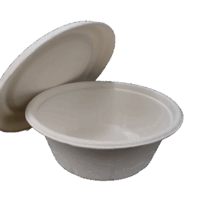 BB500S-O - 500ml Bowl & Lid Set