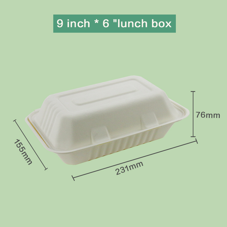 B029 - 1000ml Clamshell - Image 3